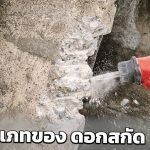 ดอกสกัด