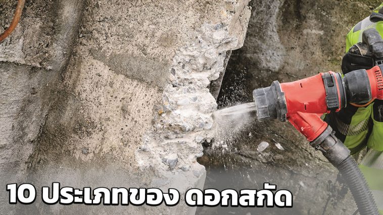 ดอกสกัด